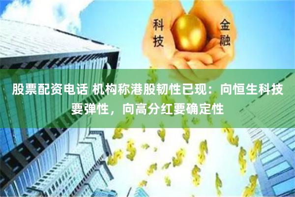 股票配资电话 机构称港股韧性已现：向恒生科技要弹性，向高分红要确定性