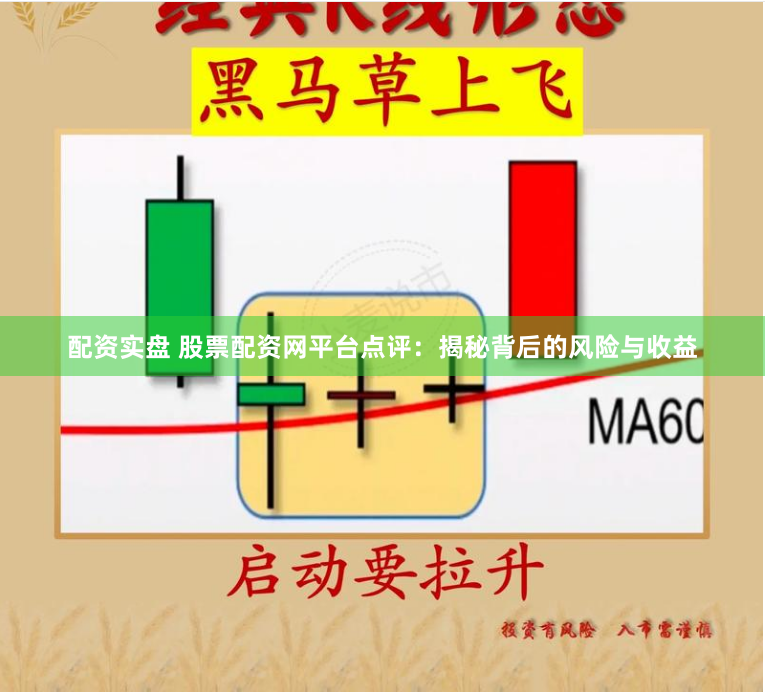配资实盘 股票配资网平台点评：揭秘背后的风险与收益