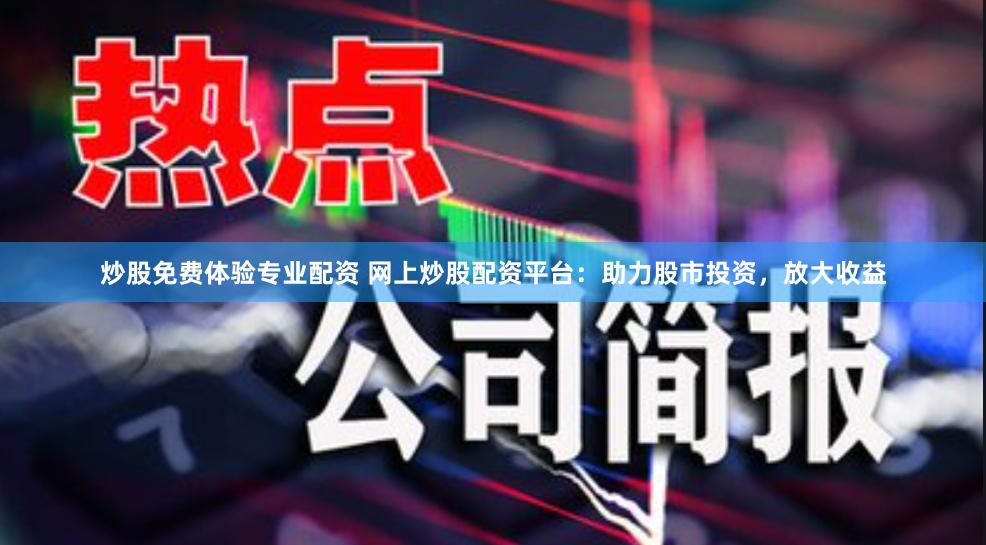 炒股免费体验专业配资 网上炒股配资平台：助力股市投资，放大收益