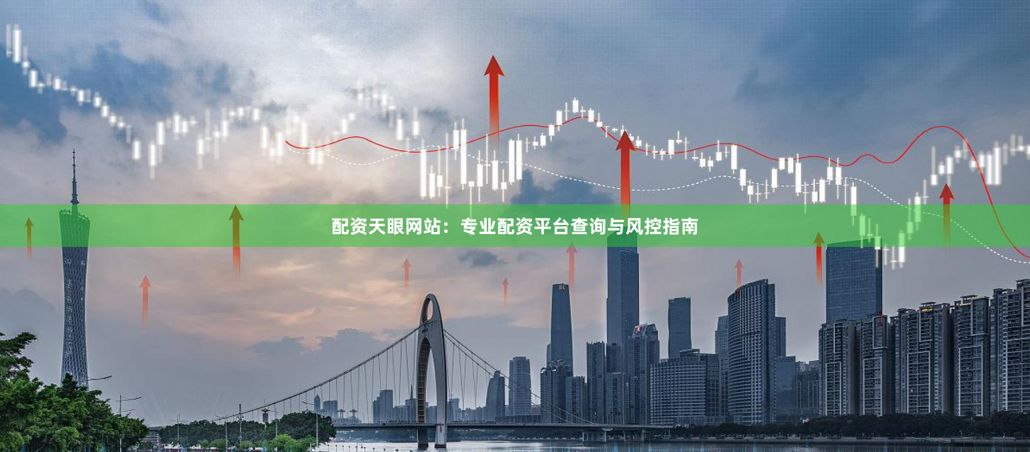 配资天眼网站:专业配资平台查询与风控指南